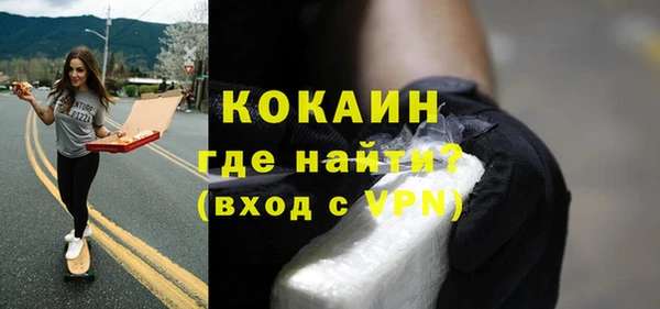 шишки Абаза