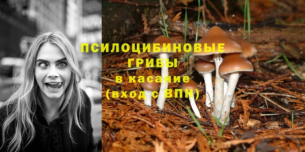 jwh Абинск