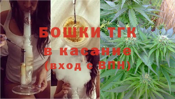 шишки Абаза