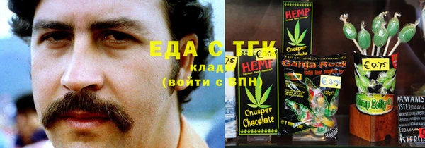 шишки Абаза