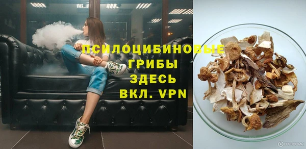 шишки Абаза