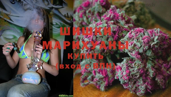 шишки Абаза
