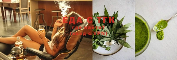 шишки Абаза