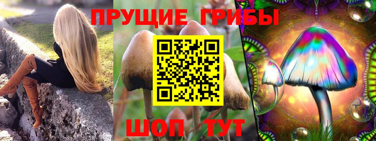 Галлюциногенные грибы мицелий  Вход с VPN  Мегион  Псилоцибиновые грибы мицелий 